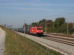 Die 185 219 mit einer LKW Walter KLV am 24.09.2011 hier bei Hattenhofen.